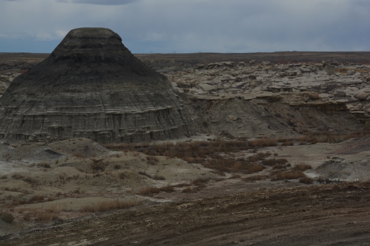 bisti wilderness